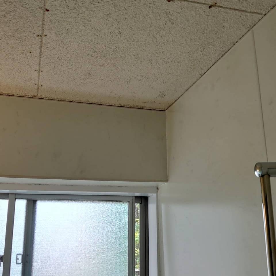 浴室天井パネル工事浴室天井の塗装剥がれがあるとのお問い合わせいただきました結露水、汚れ対策されたフクビの親水バスパネルを採用させていただきましたお客様にも満足していただき、ありがとうございました